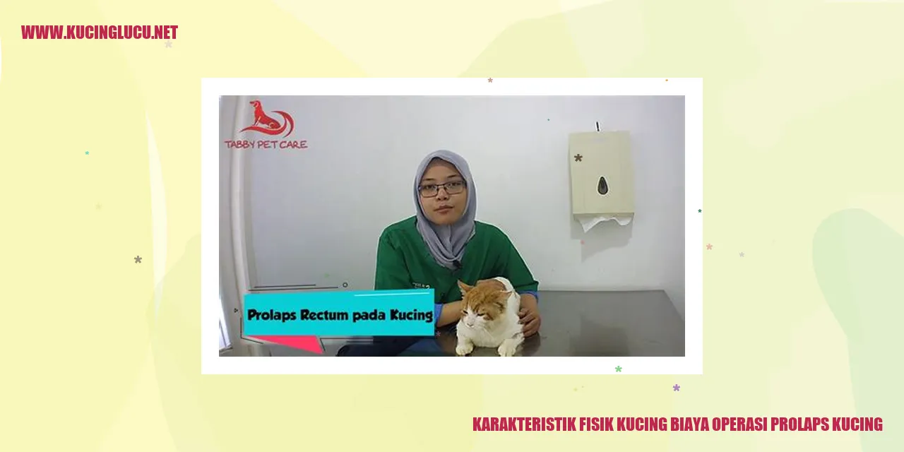 Karakteristik Fisik Kucing