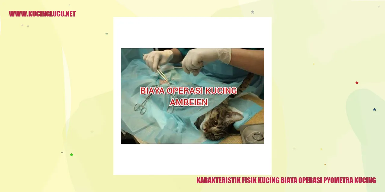 Karakteristik Fisik Kucing biaya operasi pyometra kucing