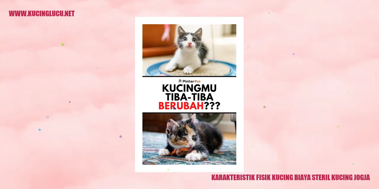Karakteristik Tubuh Kucing