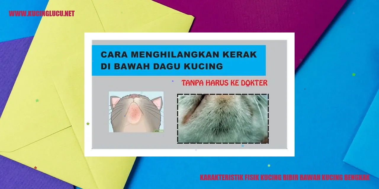 kucing dengan bibir bawah bengkak