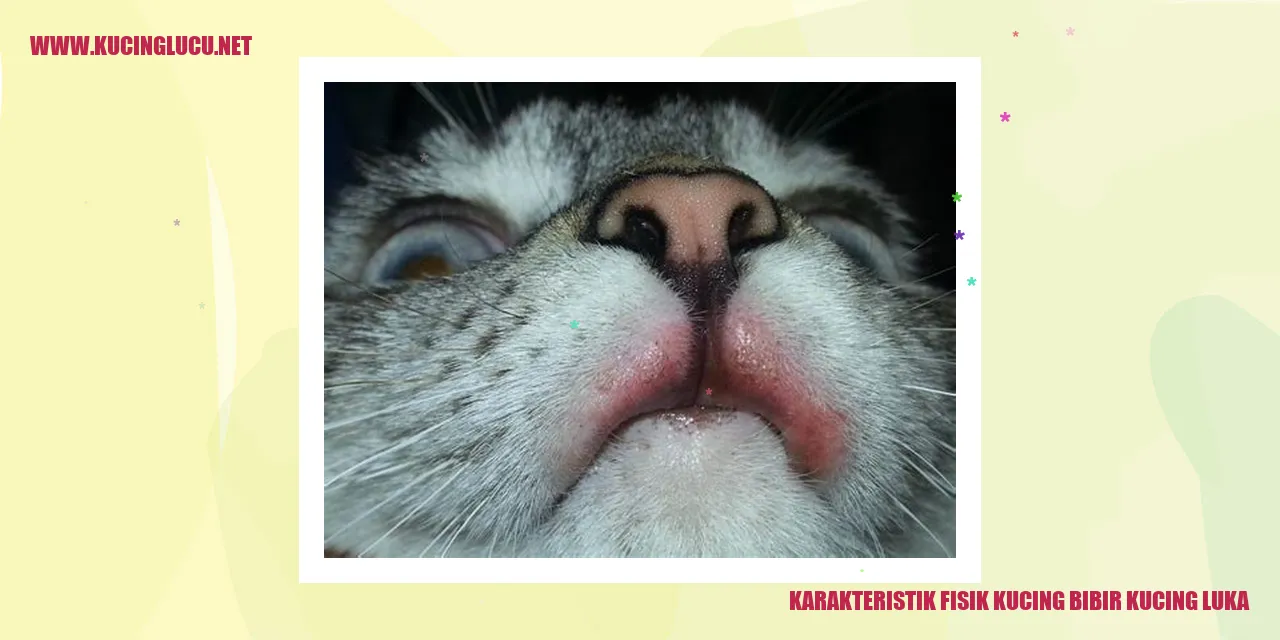 Karakteristik Fisik Kucing: Ciri-Ciri Luka pada Bibir Kucing