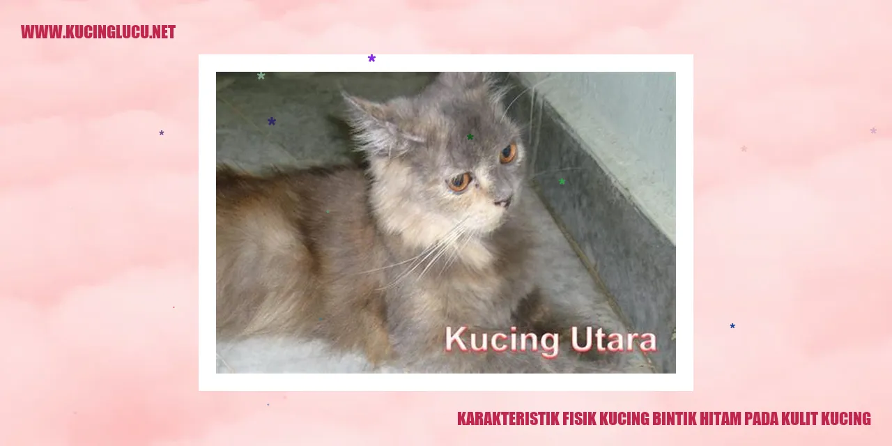 Kucing dengan bintik hitam pada kulitnya