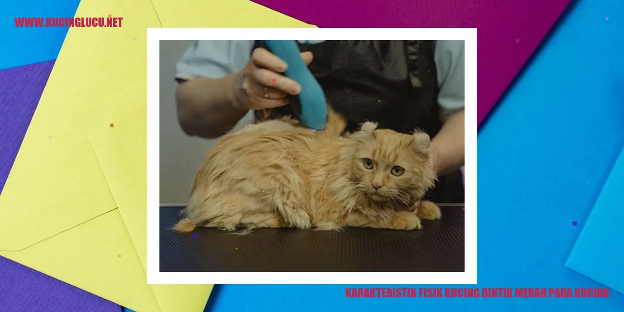 Kucing dengan bintik merah