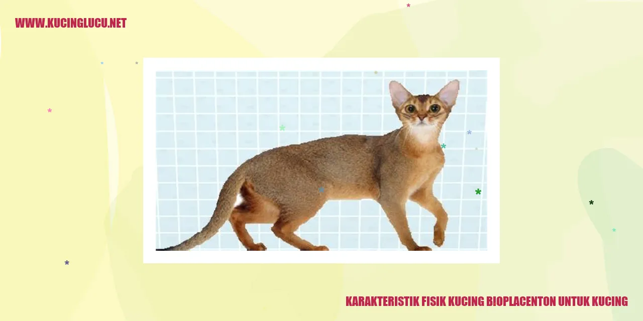 Karakteristik Fisik Kucing bioplacenton untuk kucing