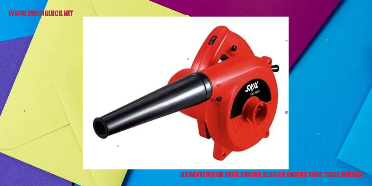 Gambar Kucing blower yang tidak berisik