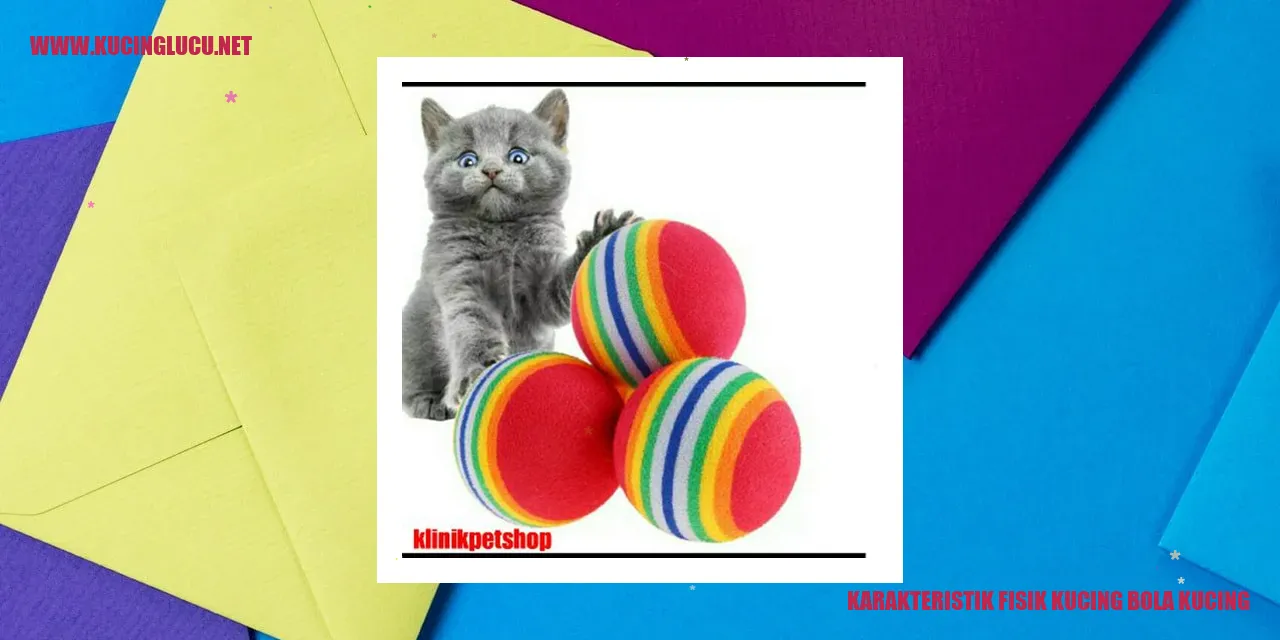 Karakteristik Fisik Kucing bola kucing