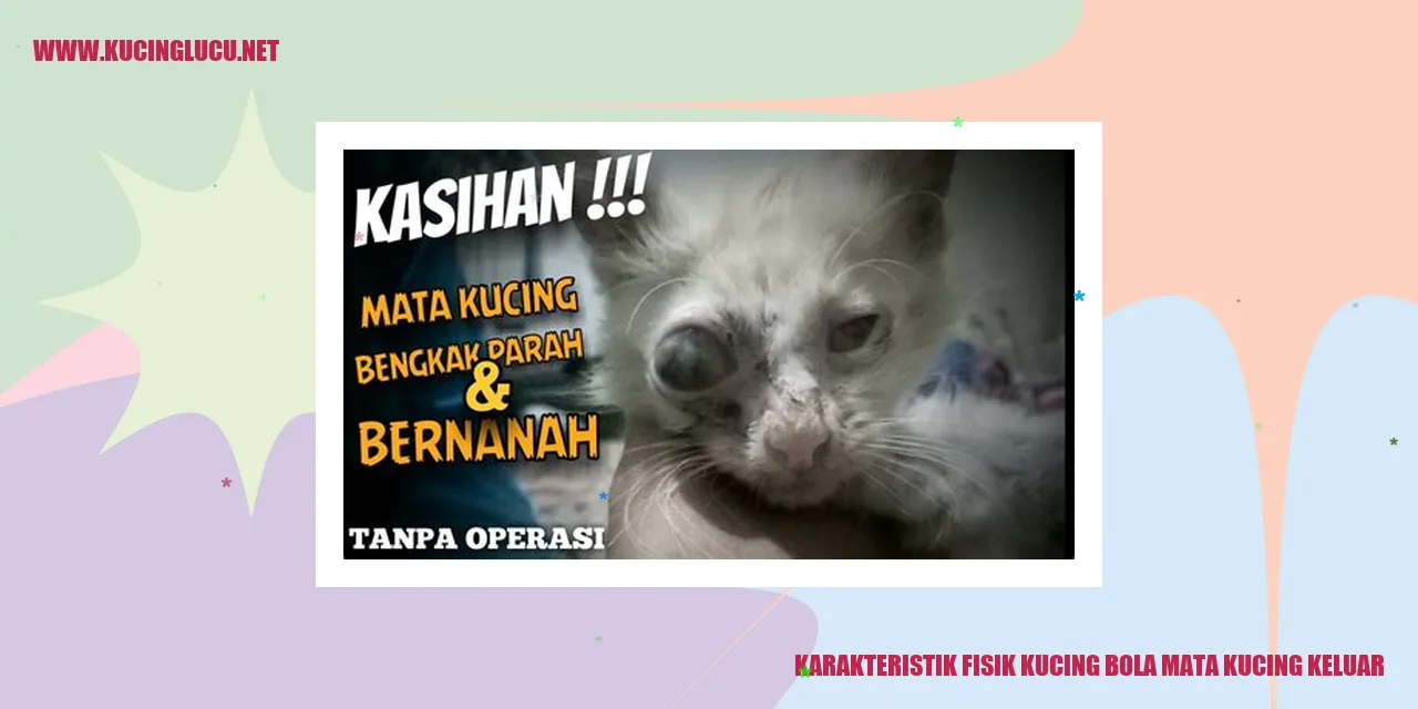 Gambar Kucing dengan Bola Mata Menonjol