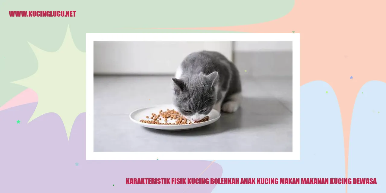 Karakteristik Fisik Kucing