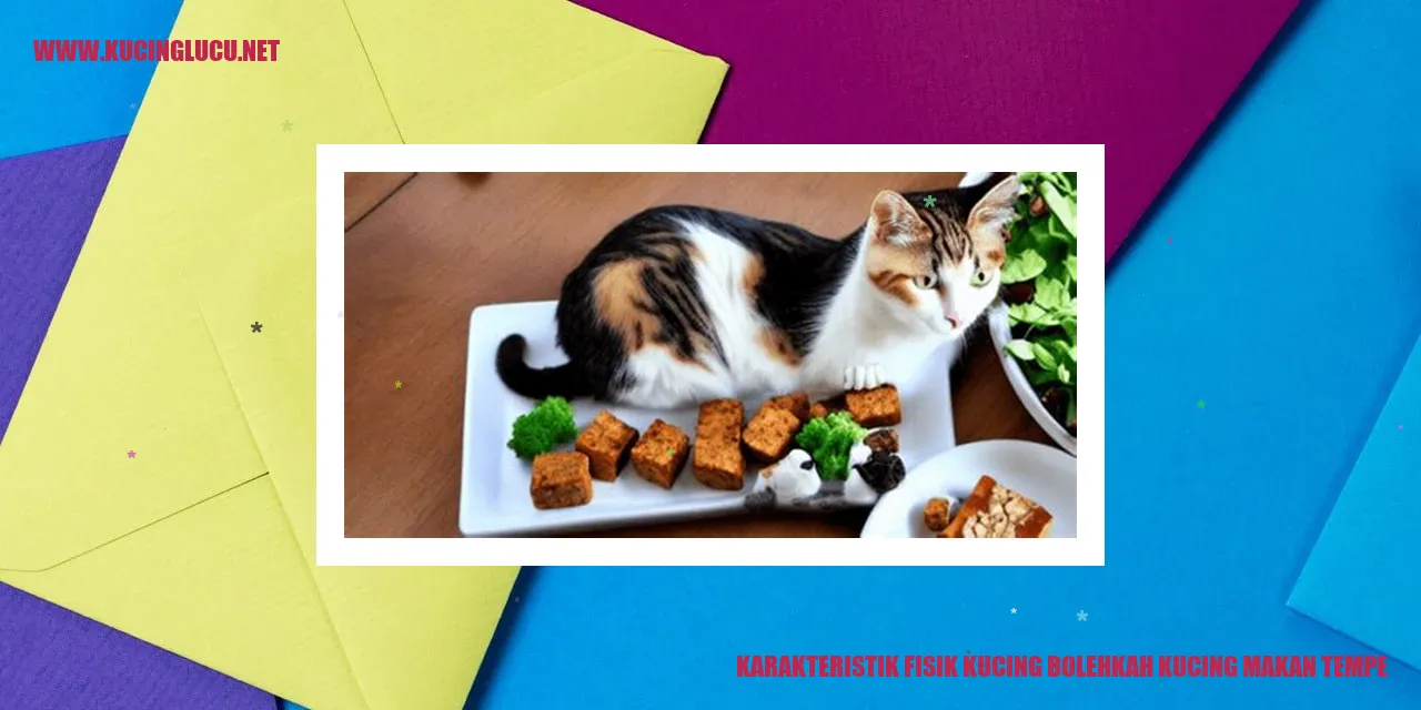 Karakteristik Fisik Kucing dan Bolehkah Kucing Makan Tempe