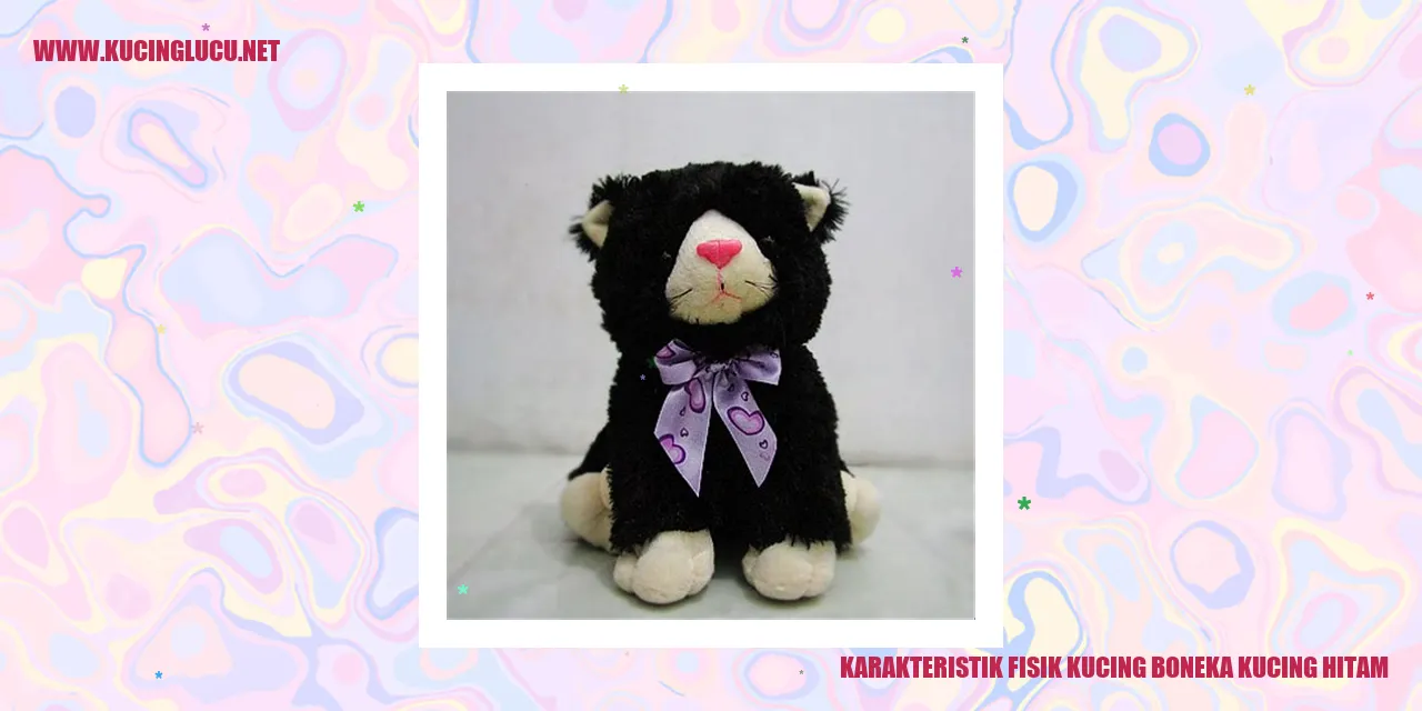 Gambar Kucing Boneka dan Kucing Hitam