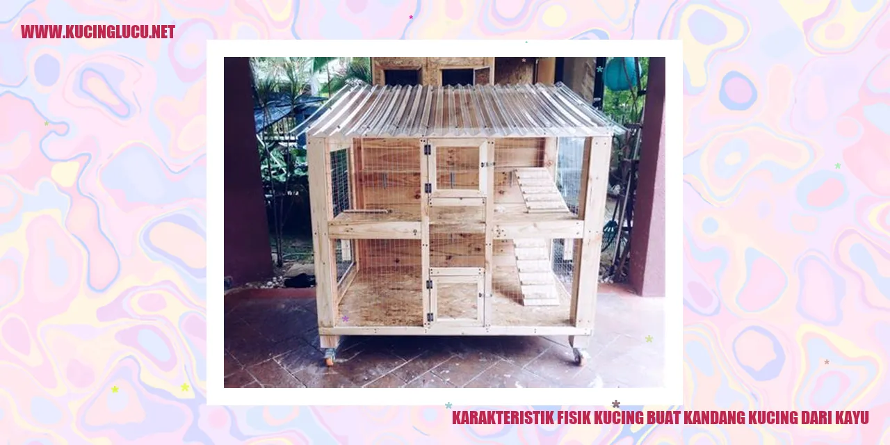 Karakteristik Fisik Kucing buat kandang kucing dari kayu