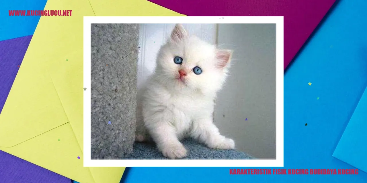 Karakteristik Fisik Kucing budidaya kucing