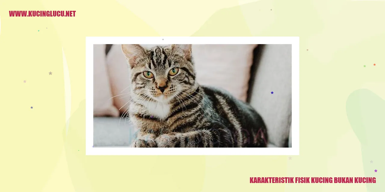 Karakteristik Fisik Kucing bukan kucing