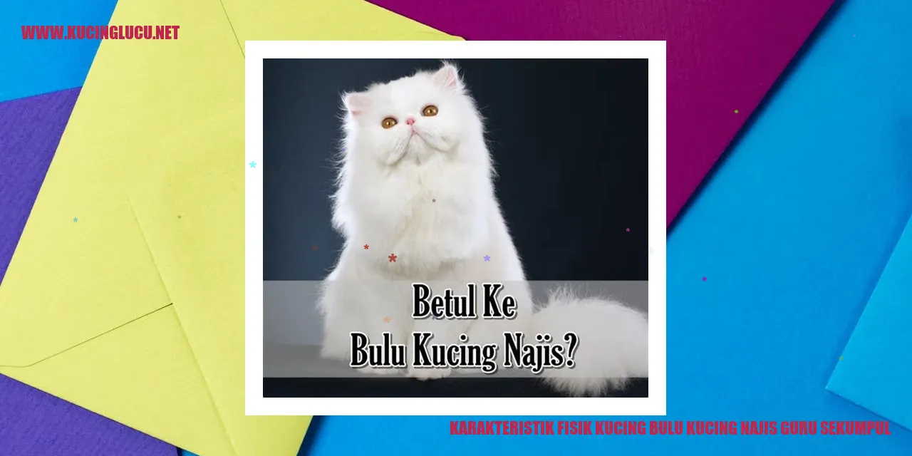 gambar kucing yang menarik