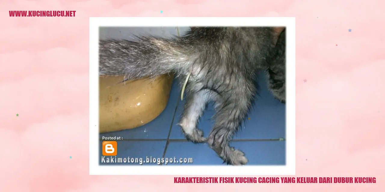Gambar Kucing dengan Cacing