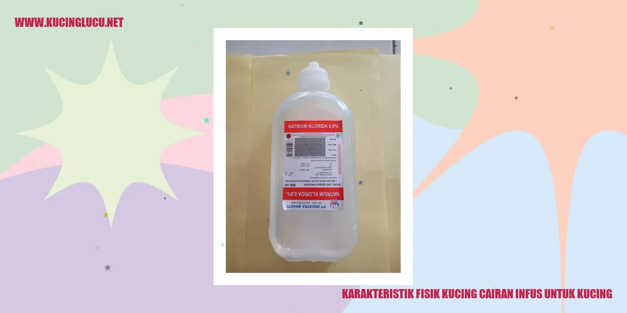 Cairan Infus untuk Kucing
