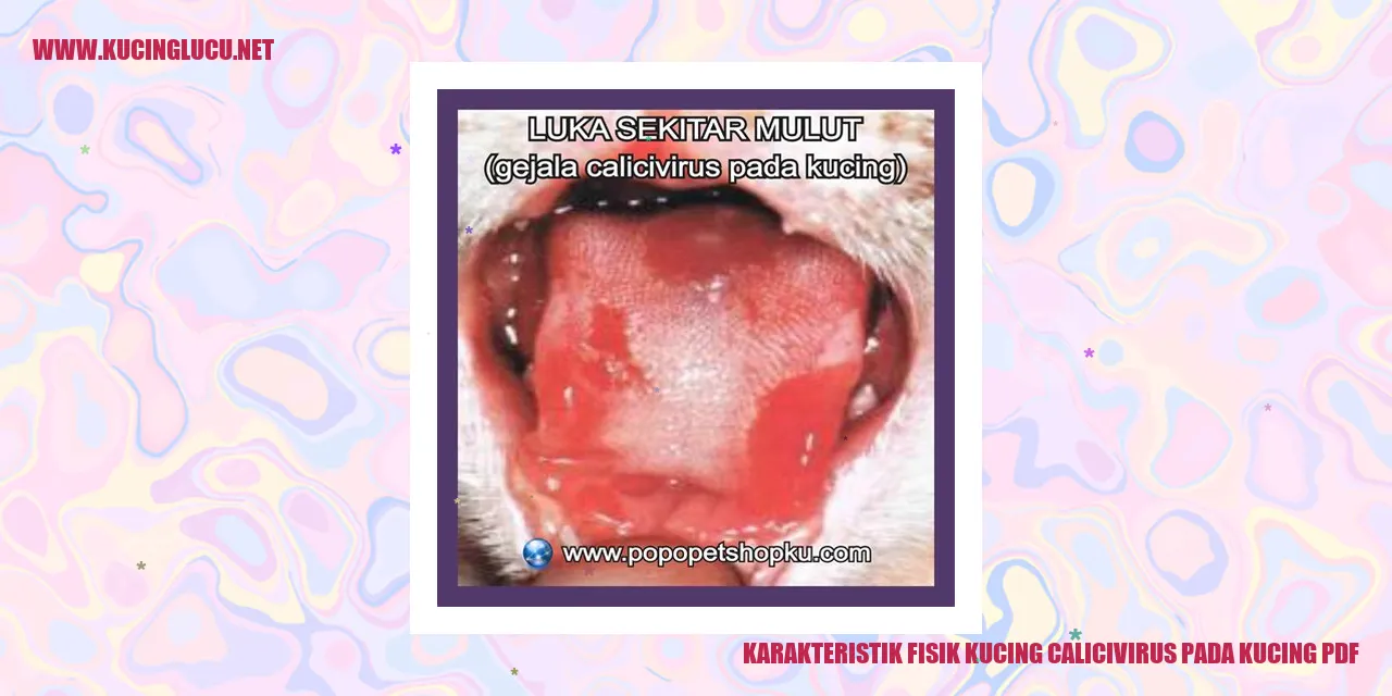 Karakteristik Fisik Kucing calicivirus pada kucing pdf