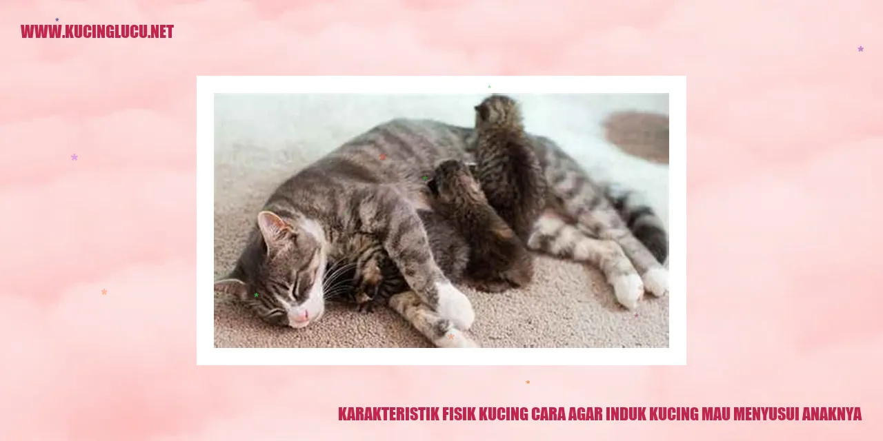 Karakteristik Fisik Kucing