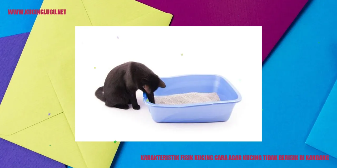 Karakteristik Fisik Kucing