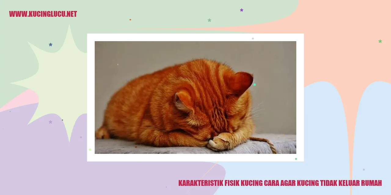 Karakteristik Fisik Kucing