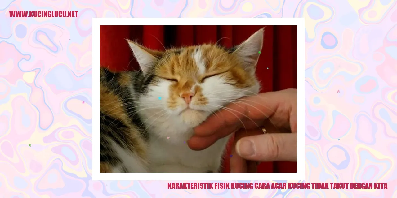 Karakteristik Fisik Kucing