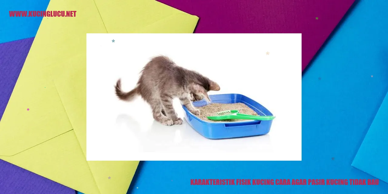 Karakteristik Fisik Kucing