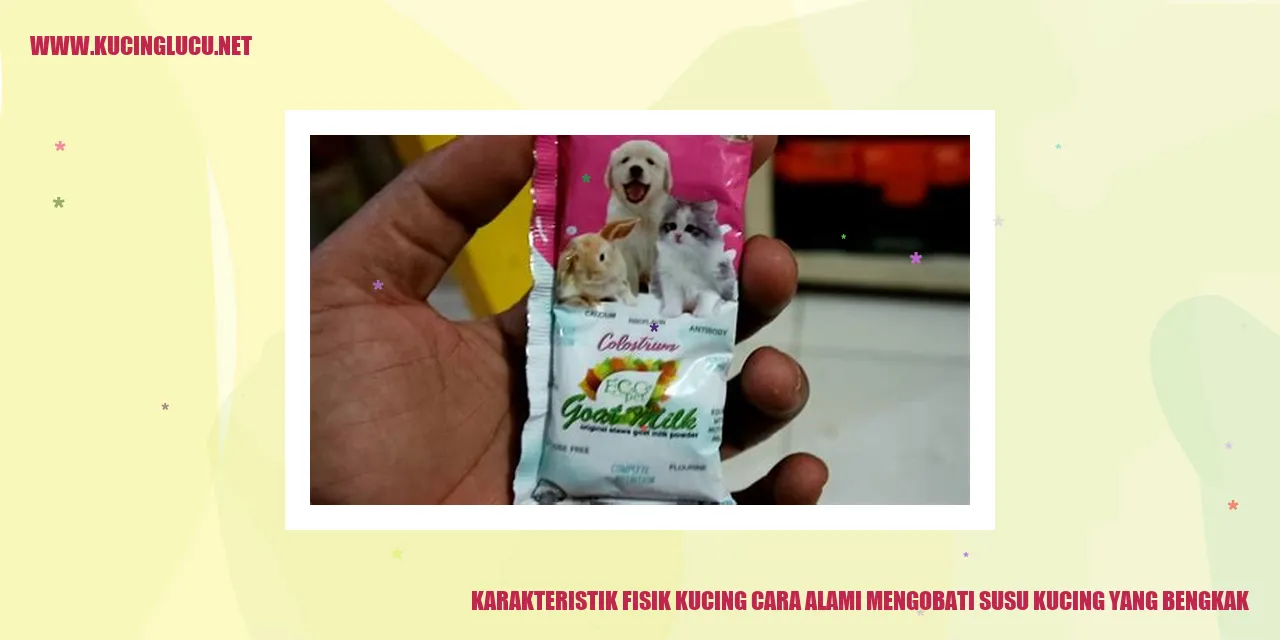 Kucing yang Menggemaskan