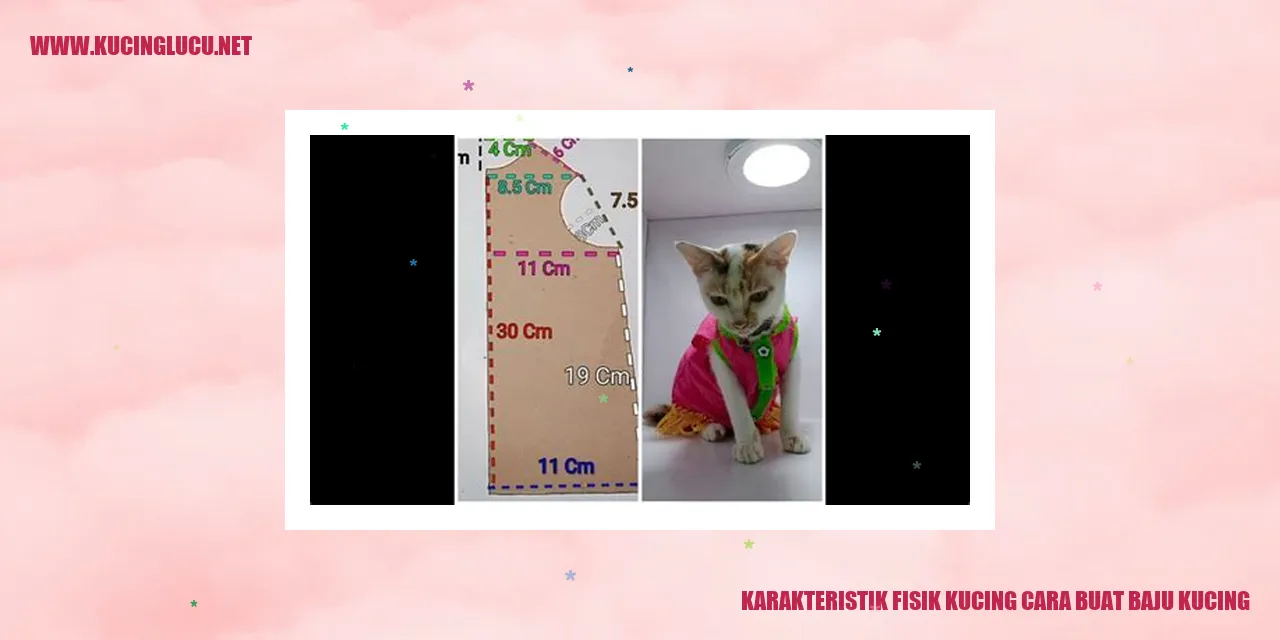 Karakteristik Fisik Kucing