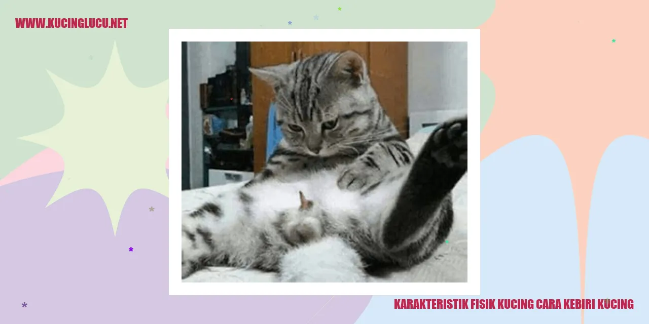 Karakteristik-Fisik-Kucing-cara-kebiri-kucing