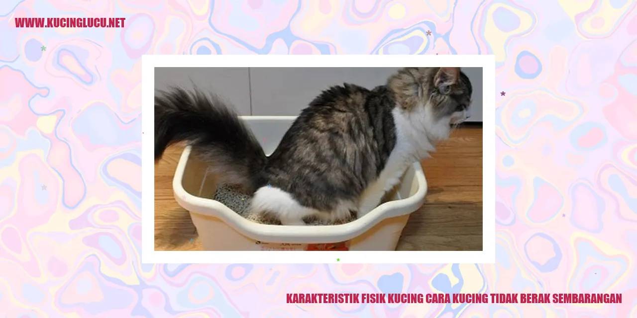 Gambar Kucing