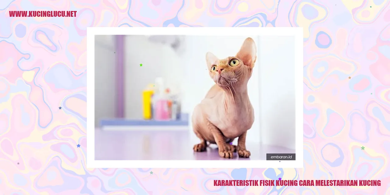 Karakteristik Fisik Kucing cara melestarikan kucing