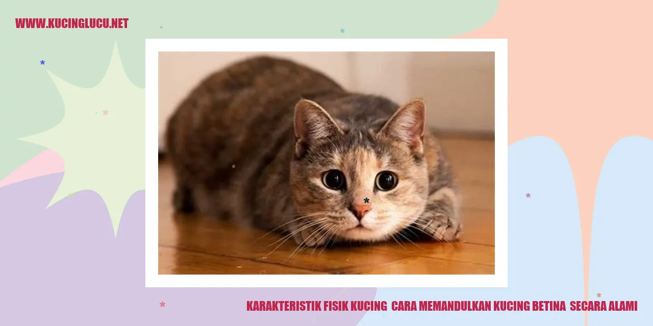 Karakteristik Fisik Kucing