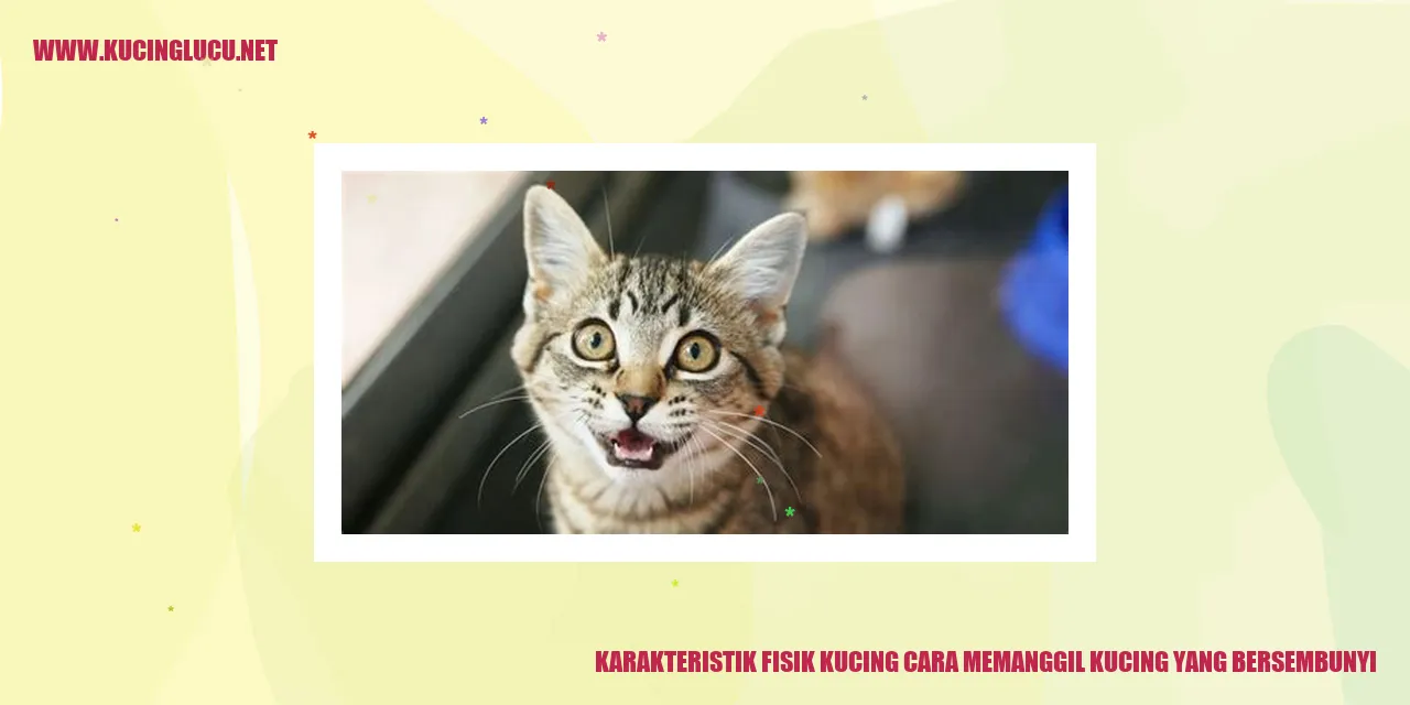 Gambar Kucing