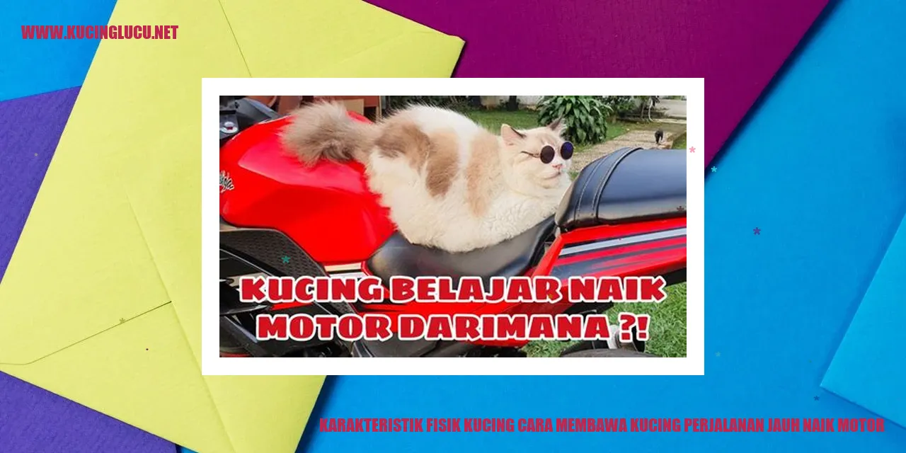 Karakteristik Fisik Kucing