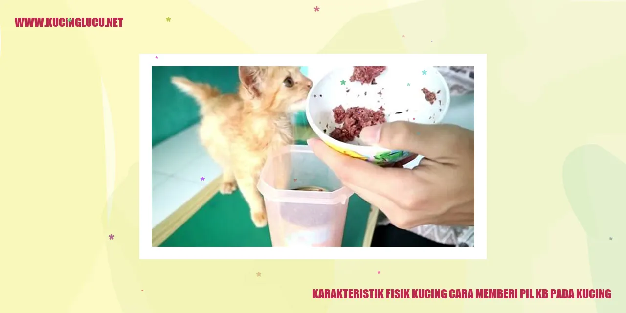Karakteristik Fisik Kucing