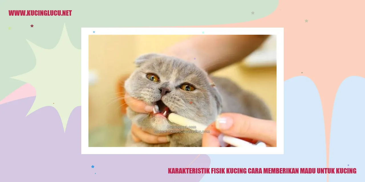 Karakteristik Fisik Kucing