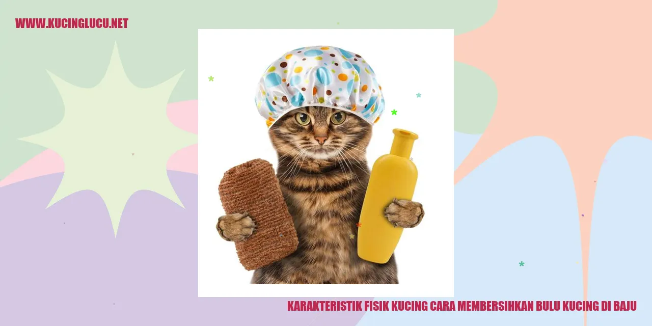Karakteristik Fisik Kucing dan Cara Membersihkan Bulu Kucing di Baju