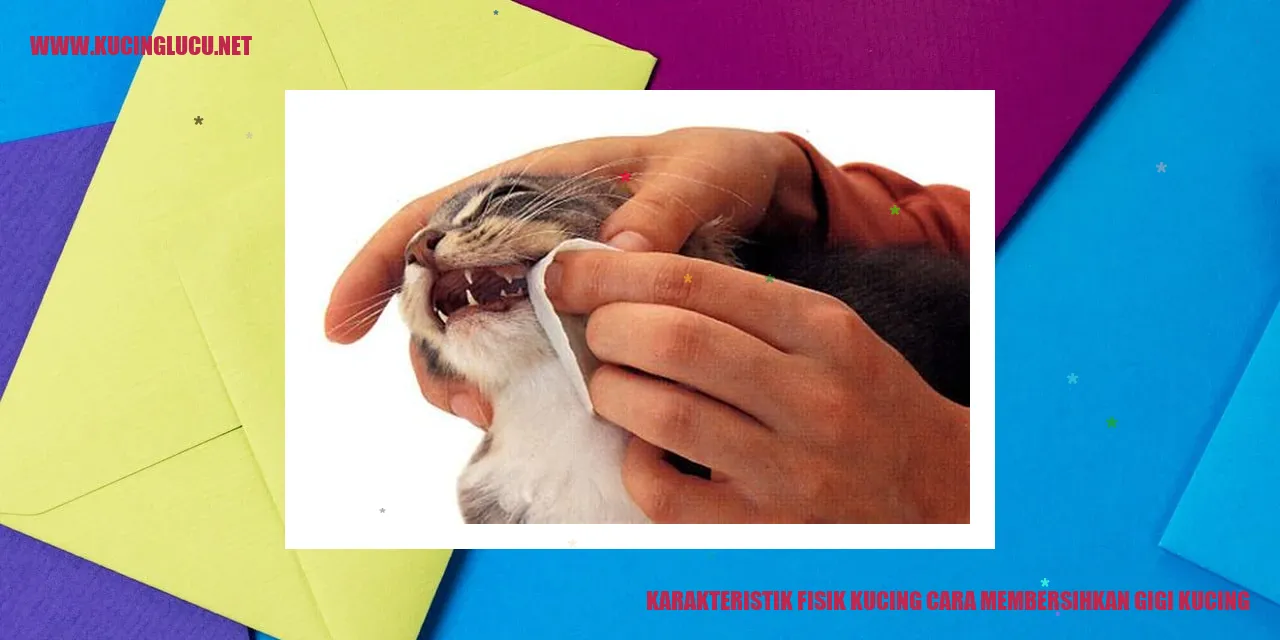 Karakteristik Fisik Kucing dan Cara Membersihkan Gigi Kucing