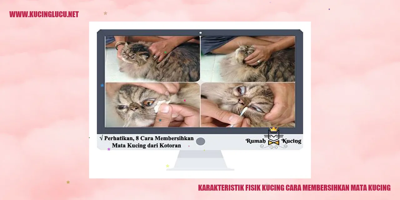Gambar Kucing yang Diusap Mata
