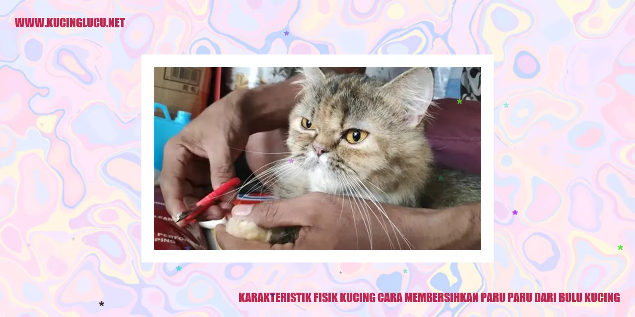 Karakteristik Fisik Kucing