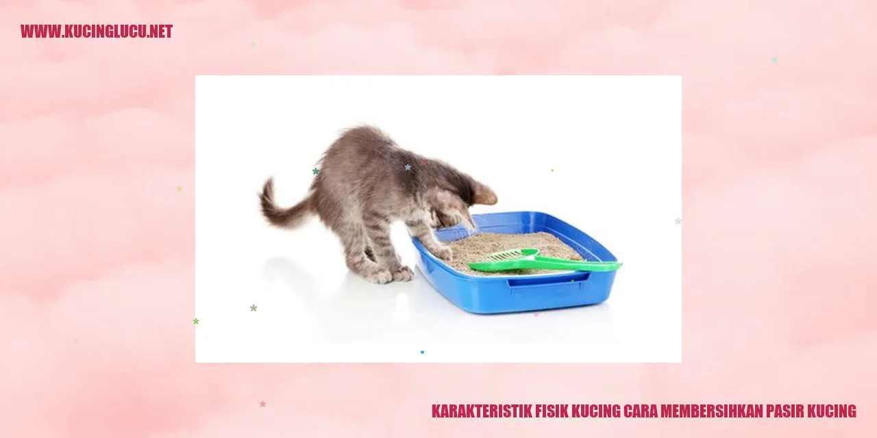 Karakteristik Fisik Kucing dan Cara Membersihkan Pasir Kucing