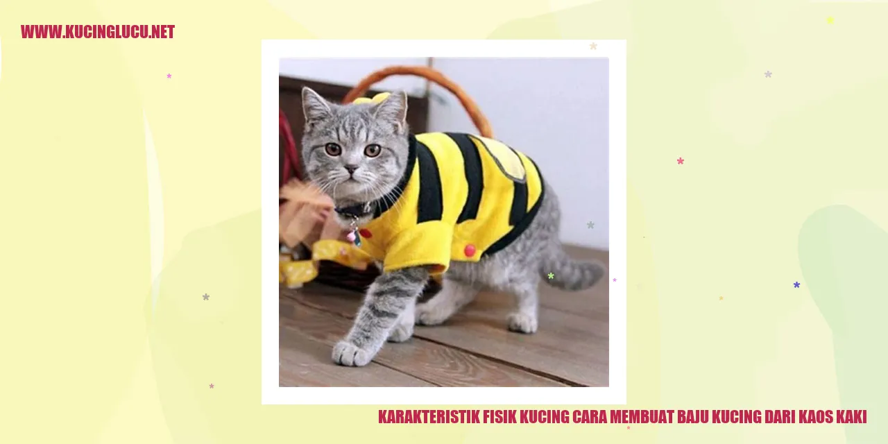Karakteristik Fisik Kucing