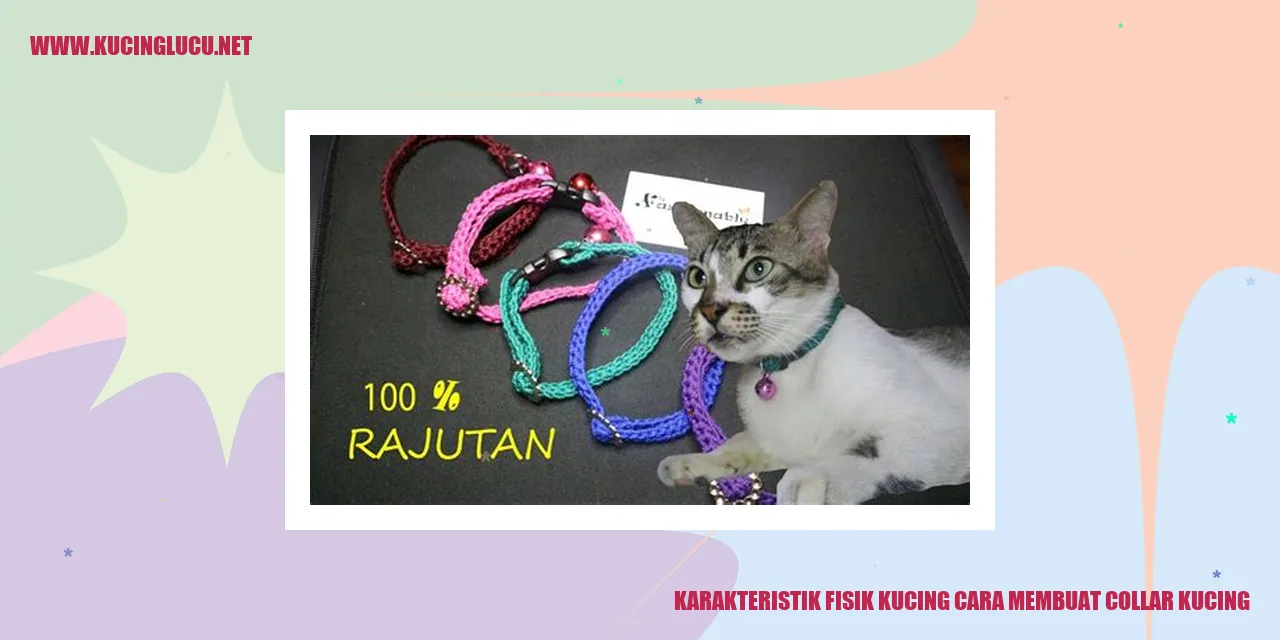 Karakteristik Fisik Kucing cara membuat collar kucing