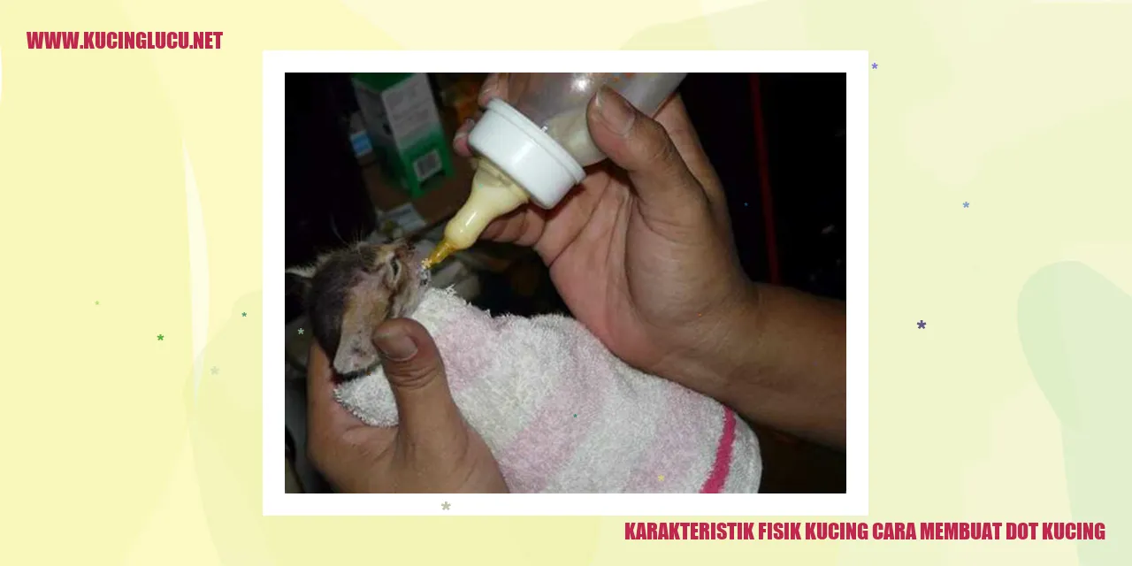 Karakteristik Fisik Kucing