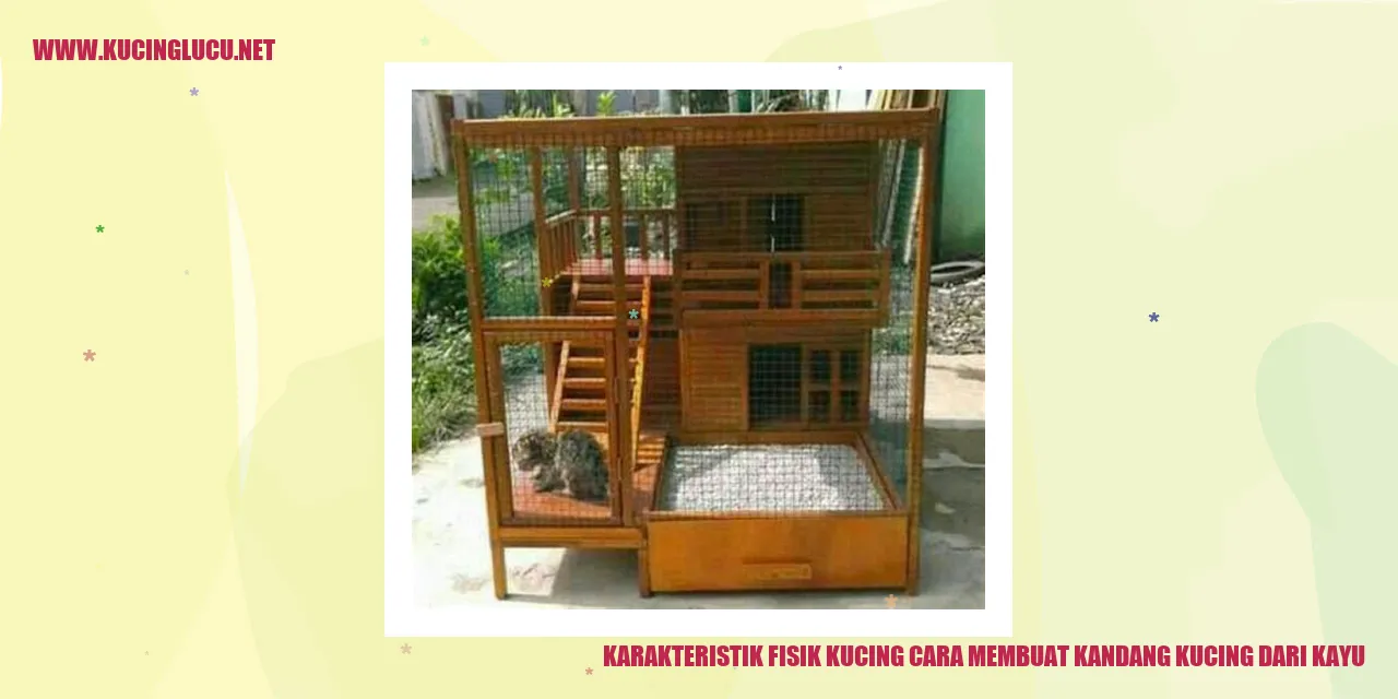 Gambar Kucing