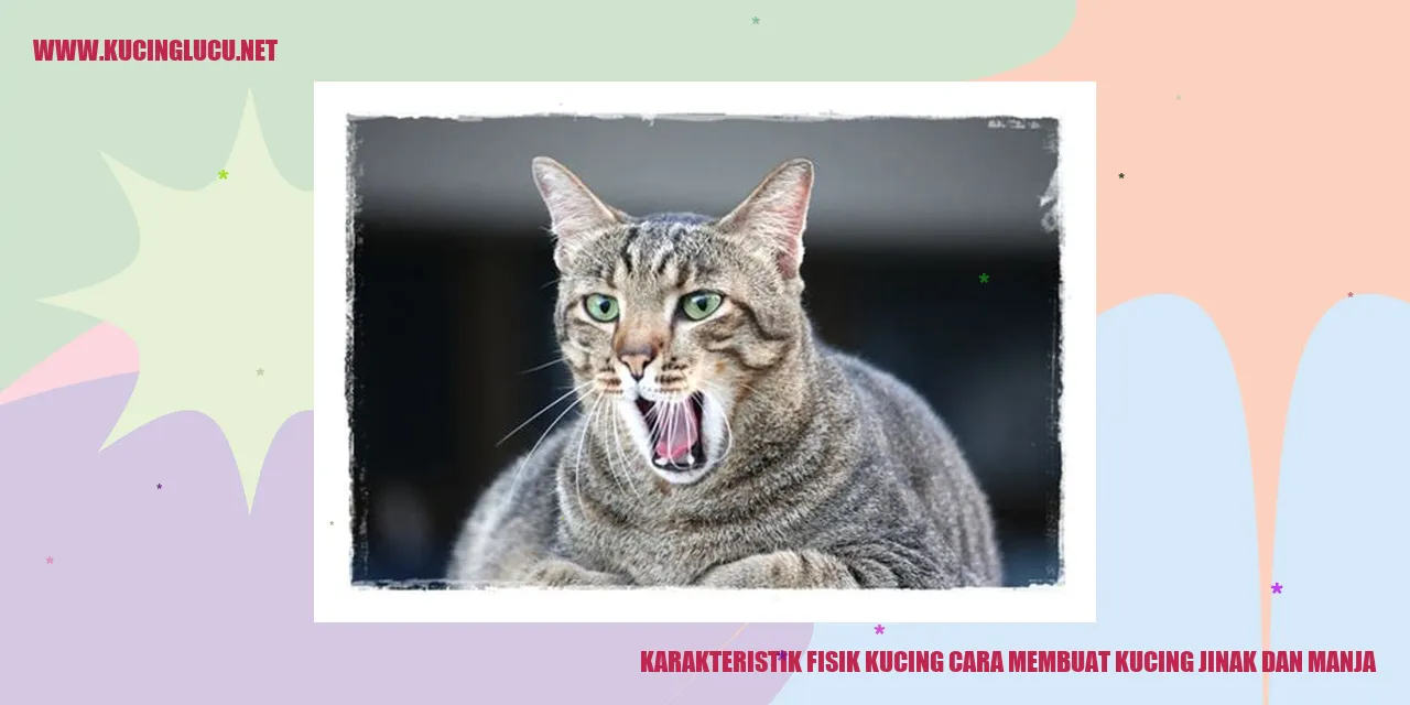 Karakteristik Fisik Kucing