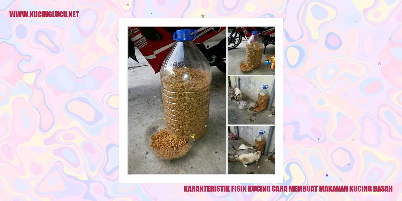Karakteristik Fisik Kucing dan Cara Membuat Makanan Kucing Basah