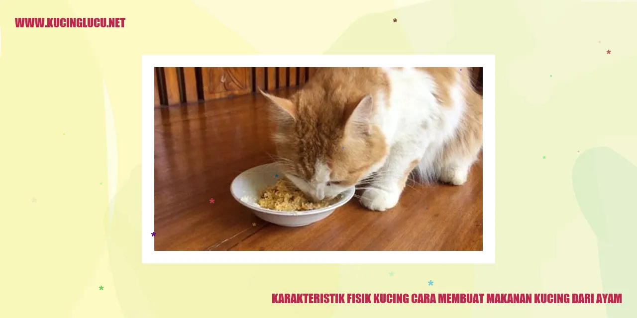 gambar seekor kucing sedang makan