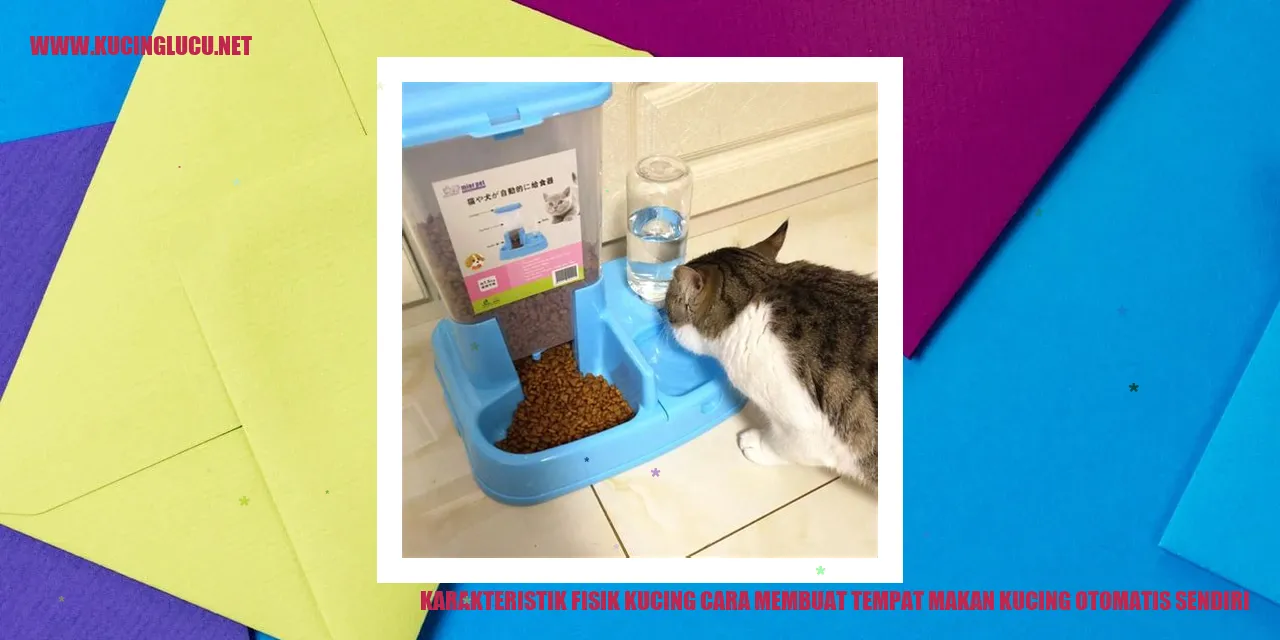 Karakteristik Fisik Kucing dan Tips Membuat Wadah Makan Otomatis untuk Kucing Sendiri
