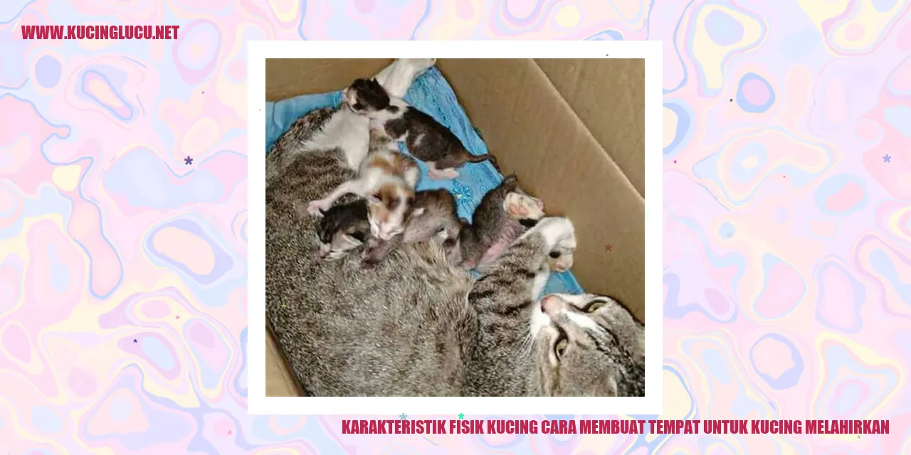 gambar kucing melahirkan